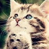 乐鱼电竞（中国）- 全球领先的专业电竞赛事平台